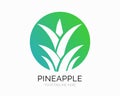 Creative Geometric Pineapple Fruit leaf, vector Logo Design Illustration