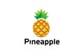 Creative Geometric Pineapple Fruit Logo