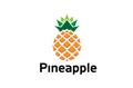 Creative Geometric Pineapple Fruit Logo