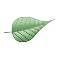 A creative gradient shaded cartoon green leaf