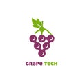 Creative Grape Logo Vector Art Logo