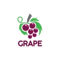 Creative Grape Logo Vector Art Logo