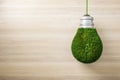 Creative green grass light bulb on wooden wall background with mock up place. Eco concept and energy concept. Royalty Free Stock Photo