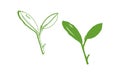 Creative icon leaf. Art nature symbol.