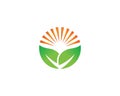 Creative Green Leaf Sun Logo Design Royalty Free Stock Photo