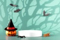 Creative Halloween composition with pumpkin, spiders, white podium and blue background. Modern Halloween aesthetic. Royalty Free Stock Photo