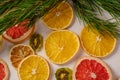 Creative holiday Christmas New Year food fruit texture with dried grapefruit, kiwi, orange and lemon with branch of fir tree Royalty Free Stock Photo