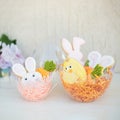 Creative home made Easter cookies gift Royalty Free Stock Photo