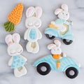 Creative home made Easter rabbit family cookies