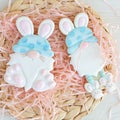 Creative home made Easter rabbit gnome cookie Royalty Free Stock Photo