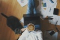Work from home concept - girl with cat Royalty Free Stock Photo