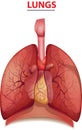 Creative human body design working in lungs