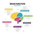 Creative human brain infographic concept lobe mind