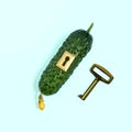 Creative idea: cucumber with lock and key