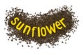 Creative idea flower of a sunflower seeds Royalty Free Stock Photo