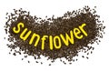 Creative idea flower of a sunflower seeds Royalty Free Stock Photo