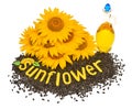 Creative idea flower of a sunflower, seeds and oil Royalty Free Stock Photo