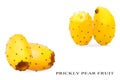 Creative idea layout with fresh opuntia fruit. Two pair of whole yellow prickly pears cactus fruits on white background Royalty Free Stock Photo