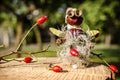 Creative ideas for children from autumnal fruits and plants