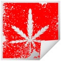 quirky distressed square peeling sticker symbol marijuana