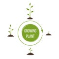 Creative illustration of growth up green tree with leaf isolated on background. Business cycle diagram development. Art des Royalty Free Stock Photo