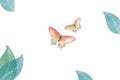 Creative Illustration and Innovative Art: Butterfly and Leaves. Royalty Free Stock Photo