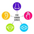 Creative illustration line icon set of five human senses. Vision, hearing, smell, touch, taste  on background. Art design Royalty Free Stock Photo