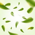Creative illustration of realistic blurred fresh vividly flying green leaves isolated on background. Art design green tea.
