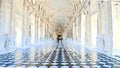 Creative illustration of Reggia di Venaria Reale gallery - Italy. Luxury marbles in baroque Palace