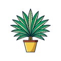 Creative Sago Palms Houseplant Illustration Royalty Free Stock Photo