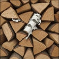 A creative illustration of stacked firewood shows neatly arranged logs, mostly in a Royalty Free Stock Photo