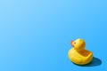 Creative image of an isolated yellow rubber duck on a blue background. Copy space Royalty Free Stock Photo