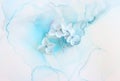 Creative image of pastel blue Hydrangea flowers on artistic ink background Royalty Free Stock Photo