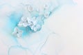 Creative image of pastel blue Hydrangea flowers on artistic ink background Royalty Free Stock Photo