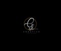 Creative Initial Gh Letter Gold Line Manual Elegant Minimalist Signature Logo