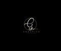 Creative Initial Gn Letter Gold Line Manual Elegant Minimalist Signature Logo