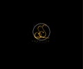 Creative Initial Ss Letter Gold Line Manual Elegant Minimalist Signature Logo
