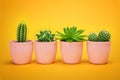 Creative layout Cactus set in ceramic pot Fashion Design. Cacti Minimal summer still life concept. Trendy Bright Color.