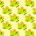 Creative layout of colorful autumn leaves. Banner with maple leaves pattern on yellow background. Top view. Flat lay. Season Royalty Free Stock Photo