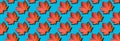 Creative layout of colorful autumn leaves. Banner with red maple leaves pattern on blue background. Top view. Flat lay. Season Royalty Free Stock Photo