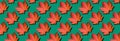 Creative layout of colorful autumn leaves. Banner with red maple leaves pattern on green background. Top view. Flat lay. Season Royalty Free Stock Photo