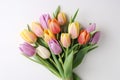 Creative layout with colorful tulip flowers bouquet and banner isolated on white background. Floral composition with Royalty Free Stock Photo