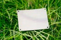 creative layout composition frame made of green grass lawn with square leather patch for clothing for factory flat lay