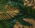 Creative layout with gold and green tropical palm leaves on black background. Minimal summer abstract pattern Royalty Free Stock Photo