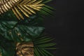 Creative layout with gold and green tropical palm leaves on black background. Minimal summer abstract pattern Royalty Free Stock Photo