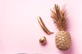 Creative layout. Gold pineapple, banana, lemon on pink background with copy space. Top view. Tropical flat lay. Exotic food