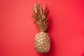 Creative layout. Gold pineapple on red background with copy space. Top view. Tropical flat lay. Exotic food concept, crazy trend.