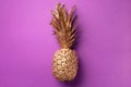 Creative layout. Gold pineapple on violet background with copy space. Top view. Tropical flat lay. Exotic food concept, crazy