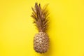Creative layout. Gold pineapple on yellow background with copy space. Top view. Tropical flat lay. Exotic food concept, crazy