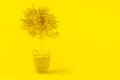 Creative layout with lemon. Lemon tree with fruits in wicker pot on yellow background. Citrus tree, vitamin C, healthy fruit. 3d Royalty Free Stock Photo